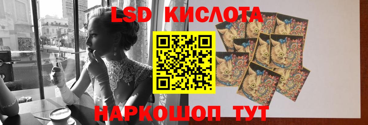Новоалександровск  LSD-25 экстази ecstasy  Вход с VPN  ЛСД экстази ecstasy 