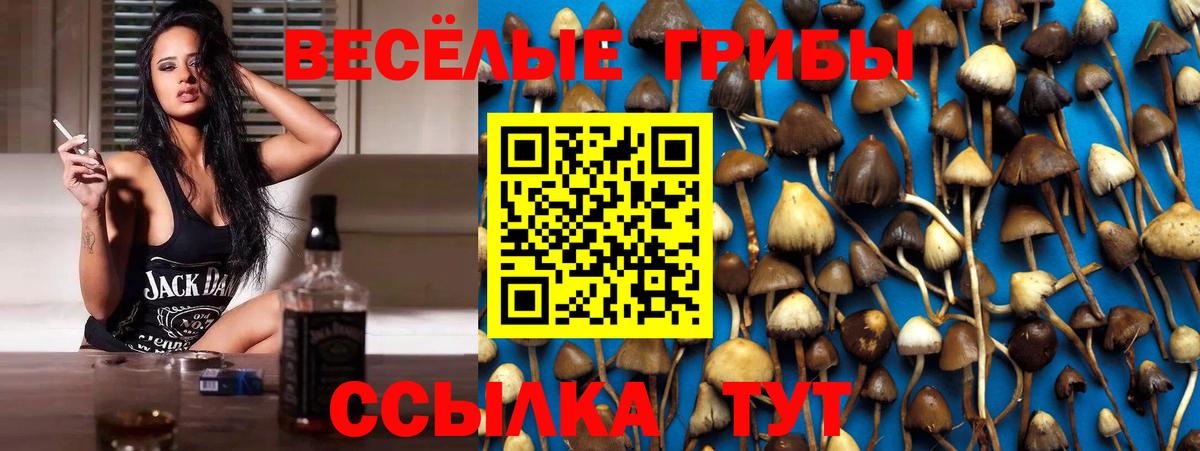 Новоалександровск  Псилоцибиновые грибы Psilocybe  Вход с VPN 