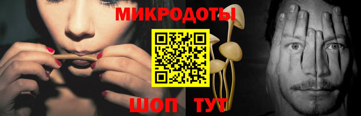 Псилоцибиновые грибы мицелий Новоалександровск